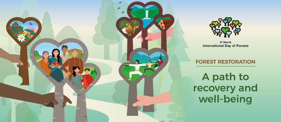 Las to zdrowie. Międzynarodowy Dzień Lasów 2021