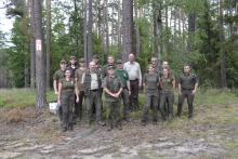 Szkolenie z zagospodarowania lasu i kryteriów FSC i PEFC po raz drugi