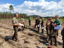 Szkolenie Służby Leśnej Nadleśnictwa Jamy z odnowienia naturalnego sosny czyli o tym, jak nauka poszła w las.