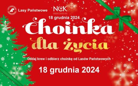 Choinka dla życia: podaruj krew, odbierz świąteczne drzewko